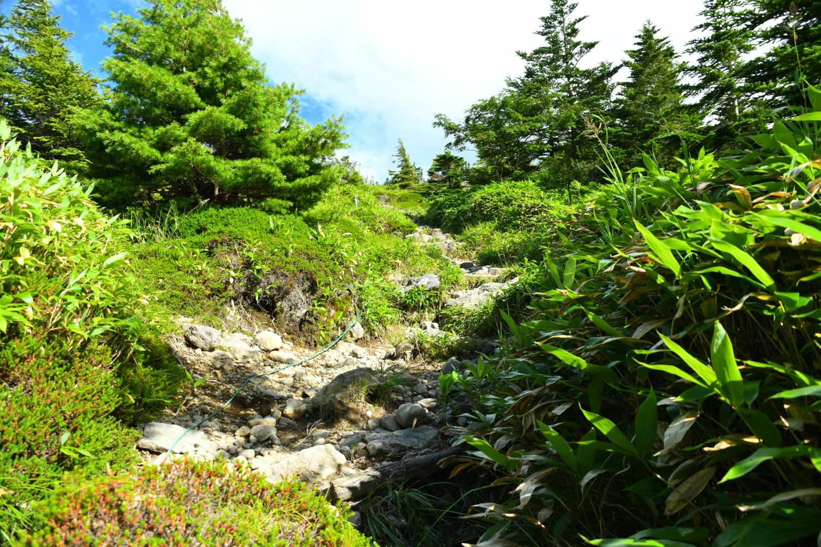 見通しが良いので山頂が近づいてる感じが良いです。