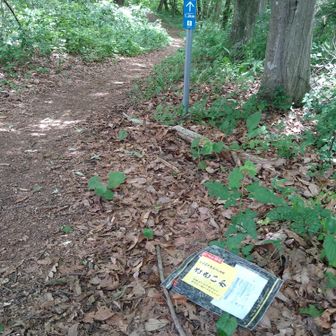 山頂近くに「さきいか」の空袋が。。。
ゴミを拾って、少しだけ山への恩返し