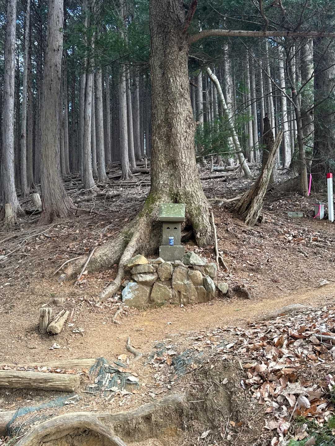 無事登山できますように🙏