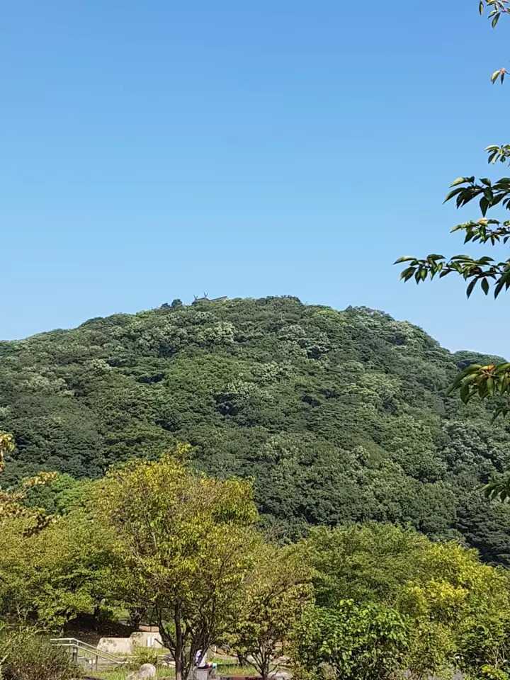 金比羅山の写真
