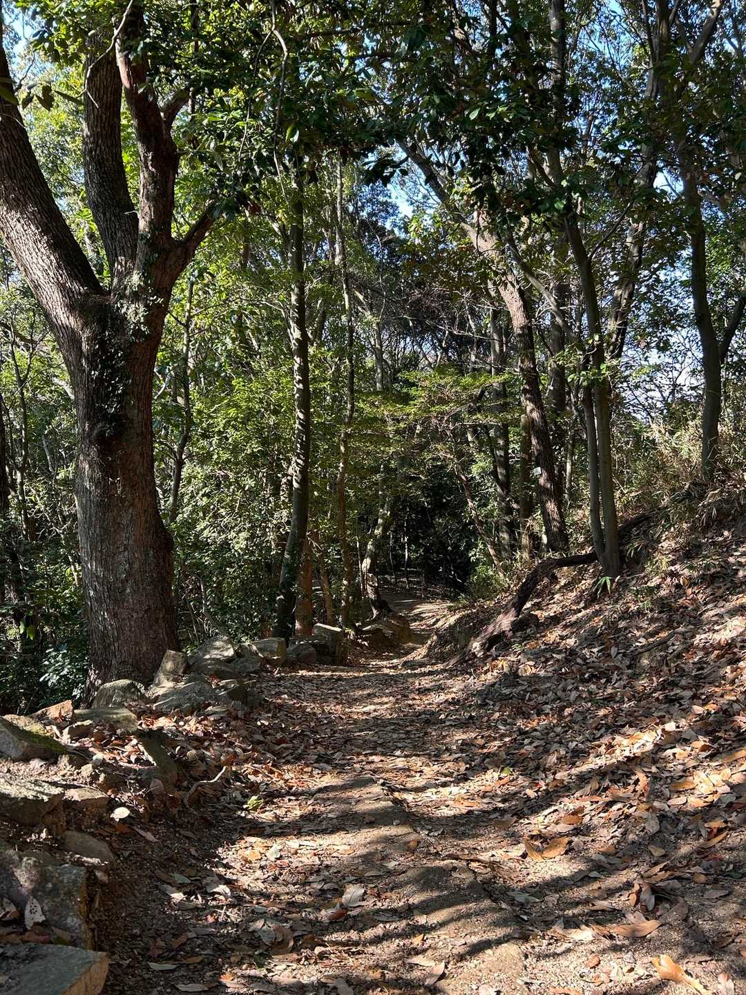 広島東照宮・尾長山 往復コースの写真