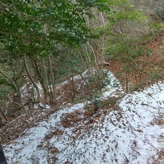 最後に急坂を登りきって、ここで紅葉谷道と合流🧍