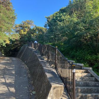 264段の階段登れば