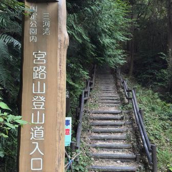 本日もよろしくお願いしますですぅ〜､､､､