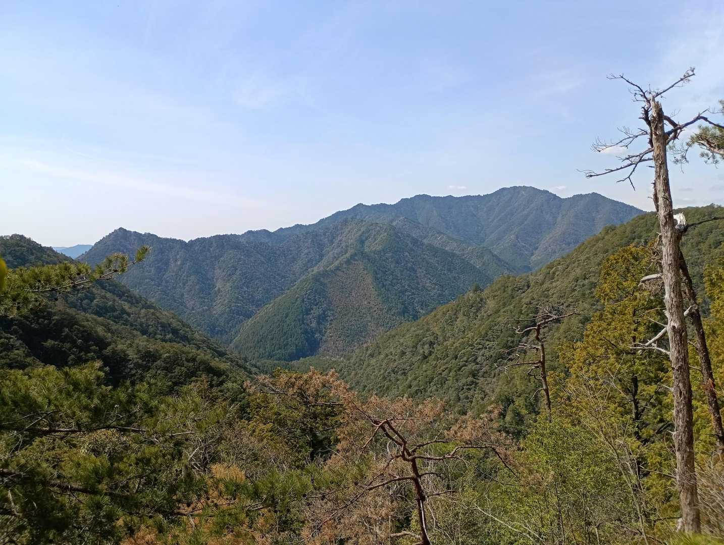 宇連山 往復コースの写真