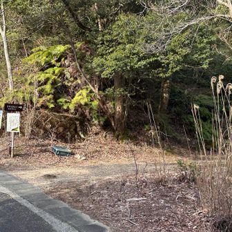 縦長の駐車場🅿️
キャンプ場から入ったら林道短いけど、
逆から来てしまったから、長ーい林道を走らせてしまった💦

安楽峠の方になるのかな
途中にあった登山口、後から思えばそこがカモシカ、、、下山ミスった方面😭