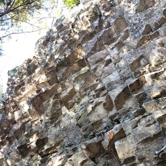 うろこ岩
(パイン🍍岩)