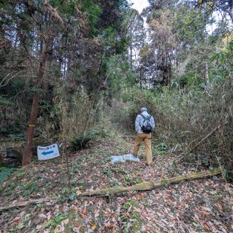 いつもは、左に曲がりますが、まっすぐに行きます