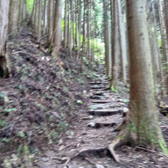 ここが一番キツかった〜
写真もブレブレだし〜

山岳救助隊が救助活動してた〜
私は無事に下山した〜