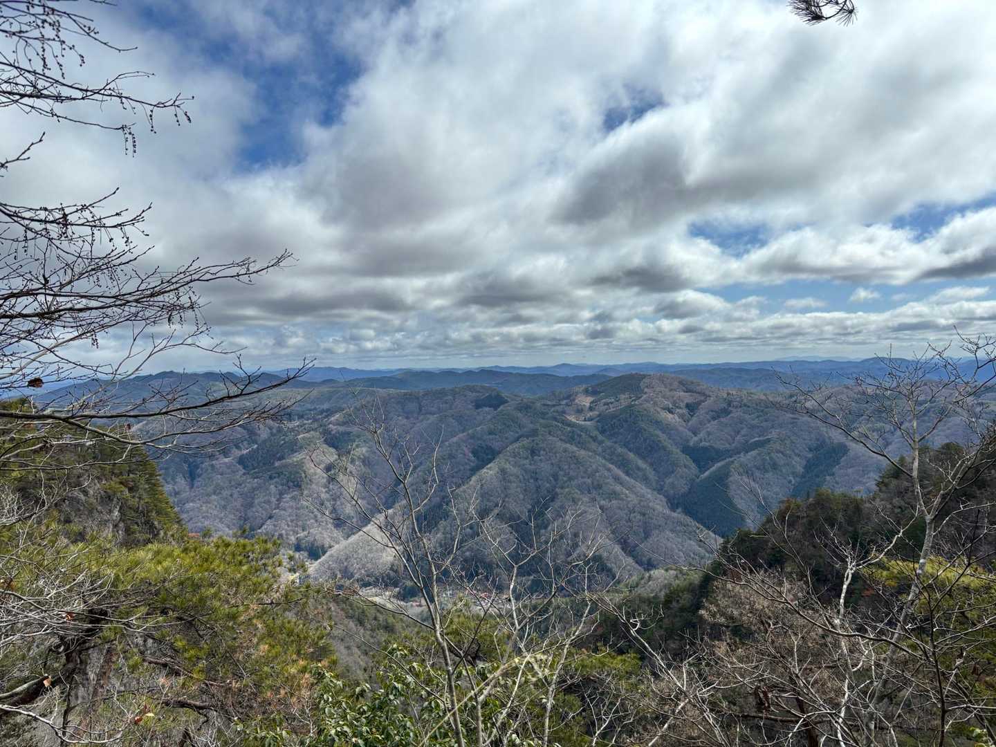 崖へ向かう途中の開けたところから📸
