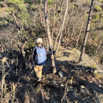 小天狗山に他の人もいて賑わってました👺
次は大岩山へ向かいますが遠いなー💦
カミさん「オメー！無理なら行かなくていーぞ💢」
いや、喜んで行かせていただきます💦
なんでそんなにテンション高いんですか💦