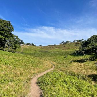 特に御池岳から鈴北岳は最高でした⭐︎