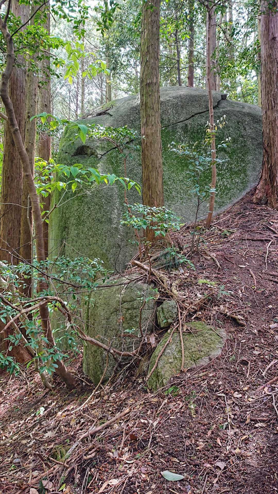 巨岩あり