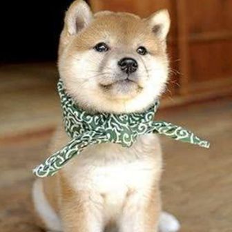 オシャレなデンケン