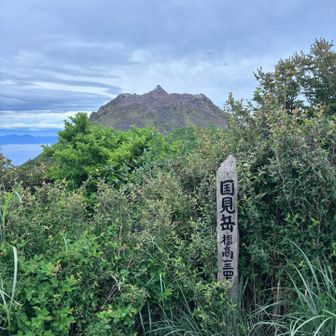 とりあえず、ひとピーク