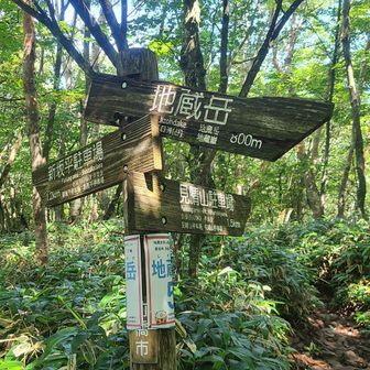 見晴山駐車場からの登山道合流点