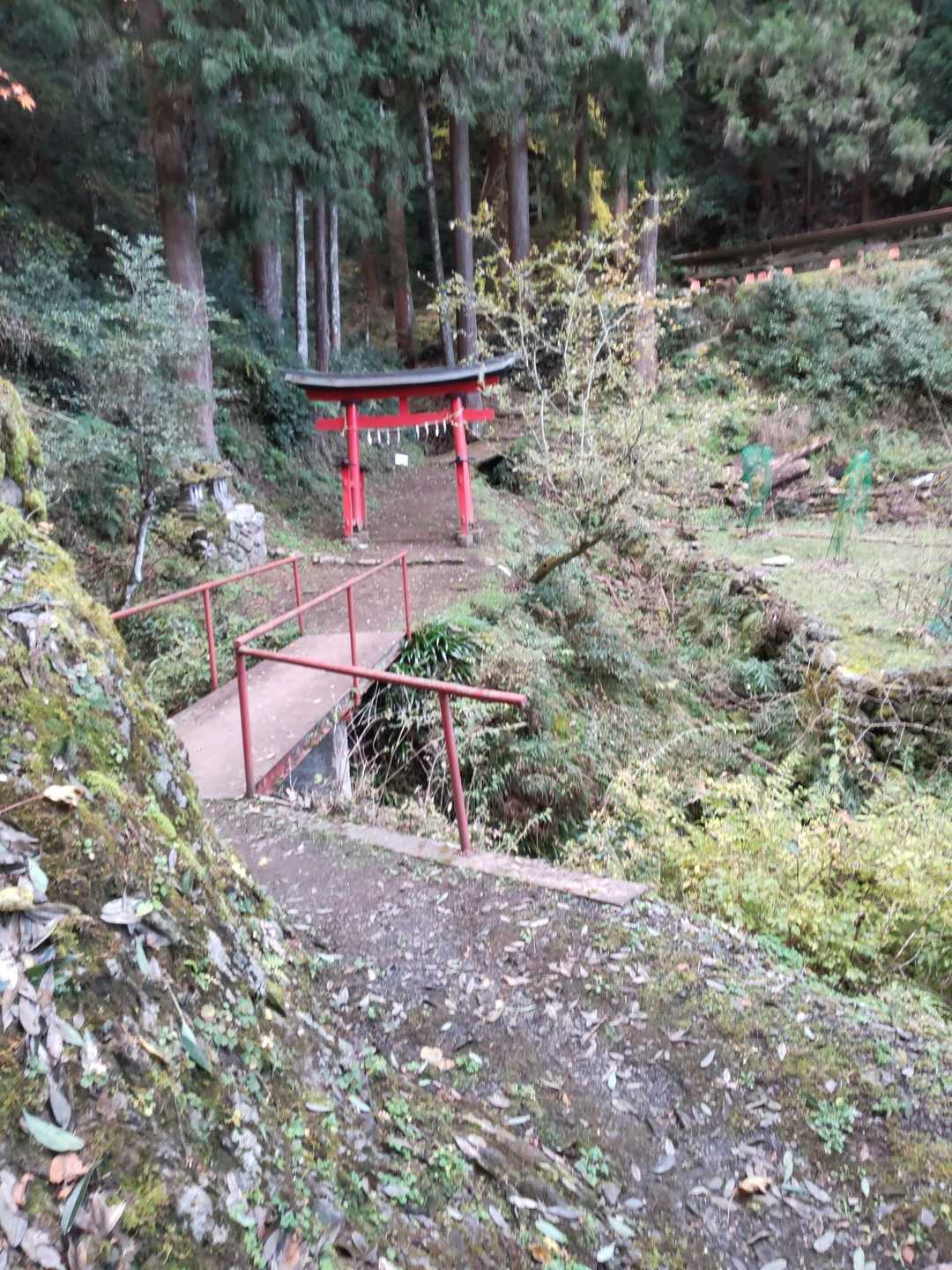 ストックの使い方を習いながら降りてきました。
今までダブルストックを左右交互に使ってましたが、下りの大きな段差は2本先について足の負担少なくする方が良いそうです。こっちがラクでした。
月に　2000mの上り下りのトレーニングのお話も。低山トレーニング意識した講習でした⤴️お世話になりました。