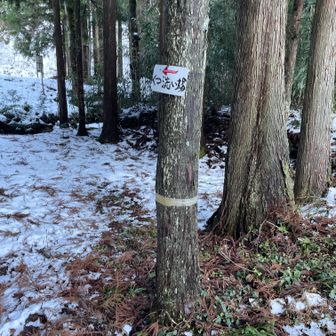 8：43登山開始です。