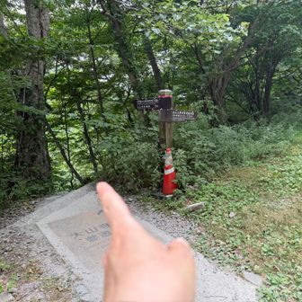 分岐左へ⬅️