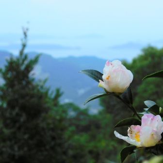 山頂は17℃くらい

肌寒かったᕷ*.°
