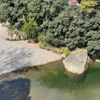 夏にはあの岩から飛び込んでいる子たちいたなあま