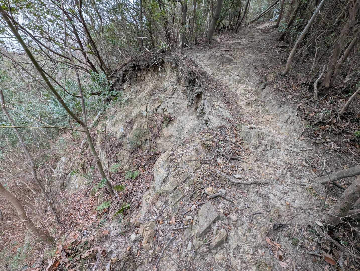 下り途中でスリリングな痩せ尾根😨