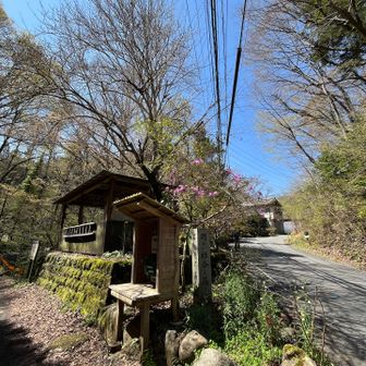 日影林道はここでおしまい