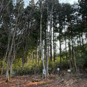 いつもの登山口

良く上板橋の駐車場🅿️から
右に歩いて行く人がいるけど
駐車場🅿️を出たら左に歩いて行くと
この入り口があります