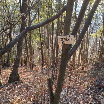 最後は惰性のように😄3つのピークを経て滑りまくりの堆積🍂の中、桐生の町まで降りる
両毛線で足利駅で降りて東武足利市駅に乗り換える途中で渡良瀬橋から観る夕陽を🌄🎵とも思っていたのだが😁16時40分の電車に乗れなかったので桐生駅周辺でのんびりして帰ったとさ
おつかれ山でした！