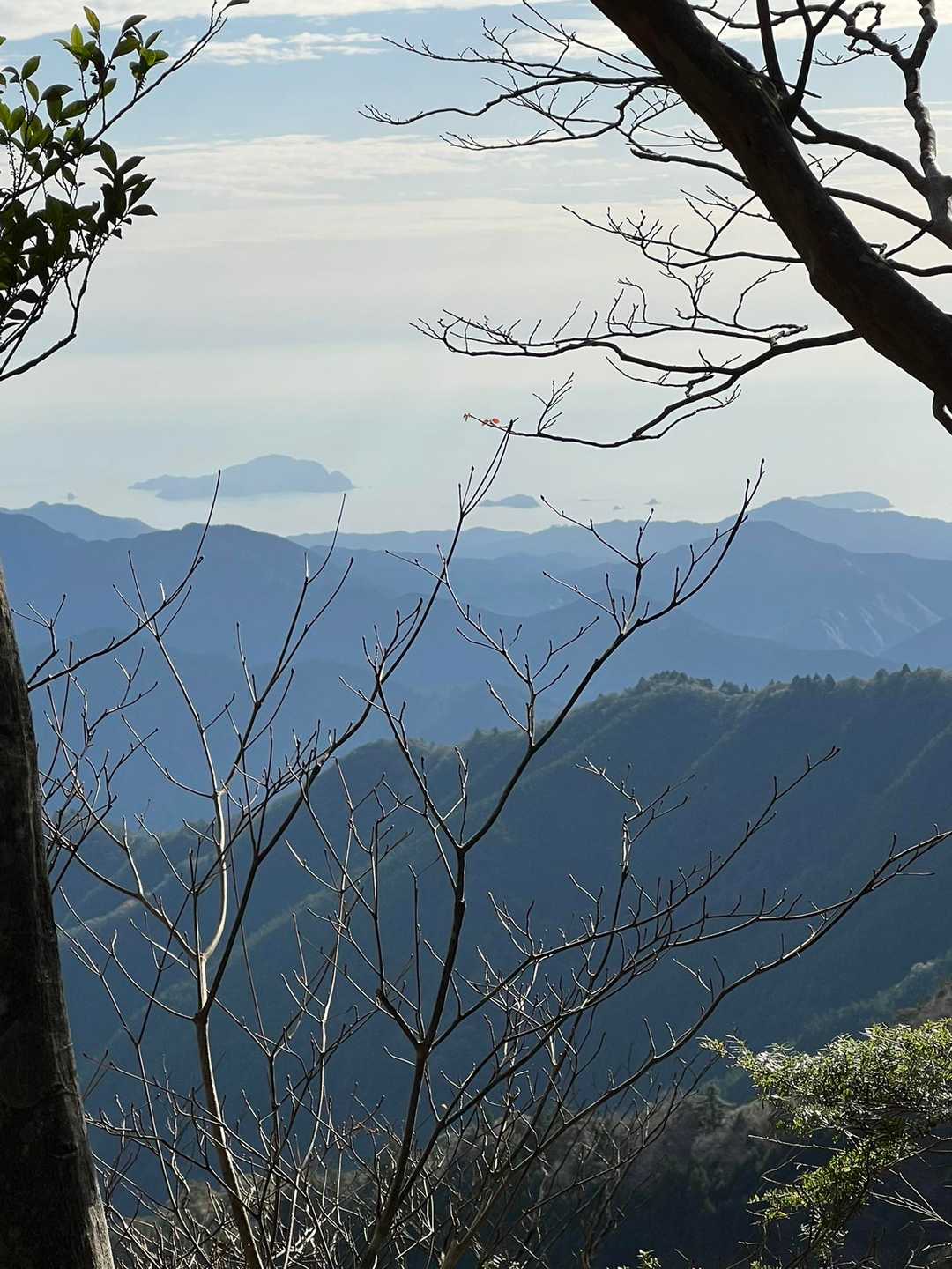 木の間から島も見える🎵