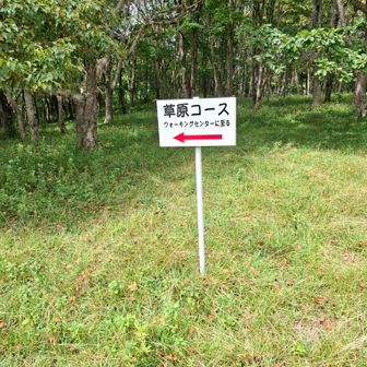 草原コースで下山