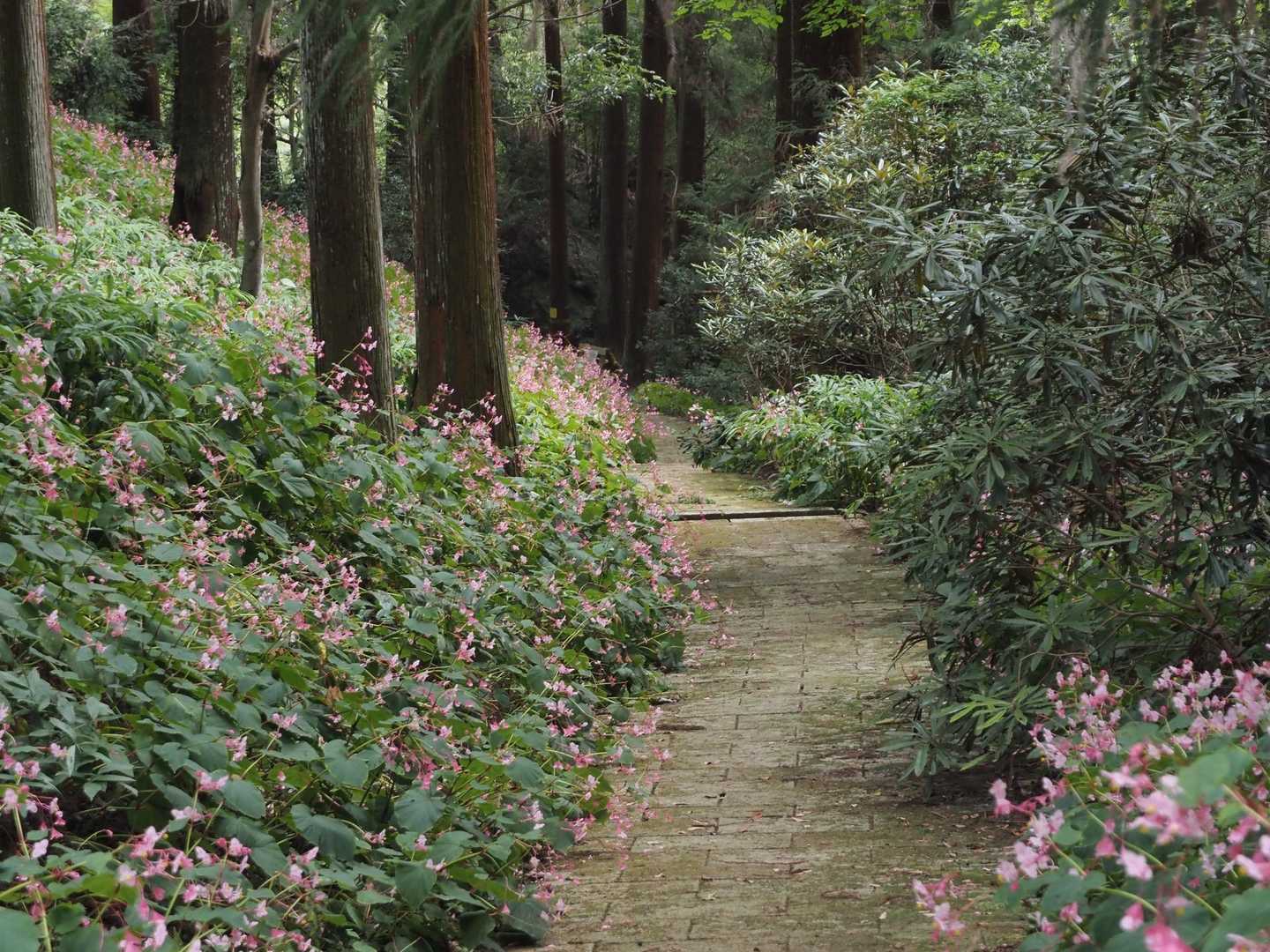 良い香りに包まれる⌘