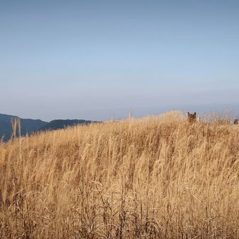 岩湧山山頂から少し行くと
みなさん休憩してました