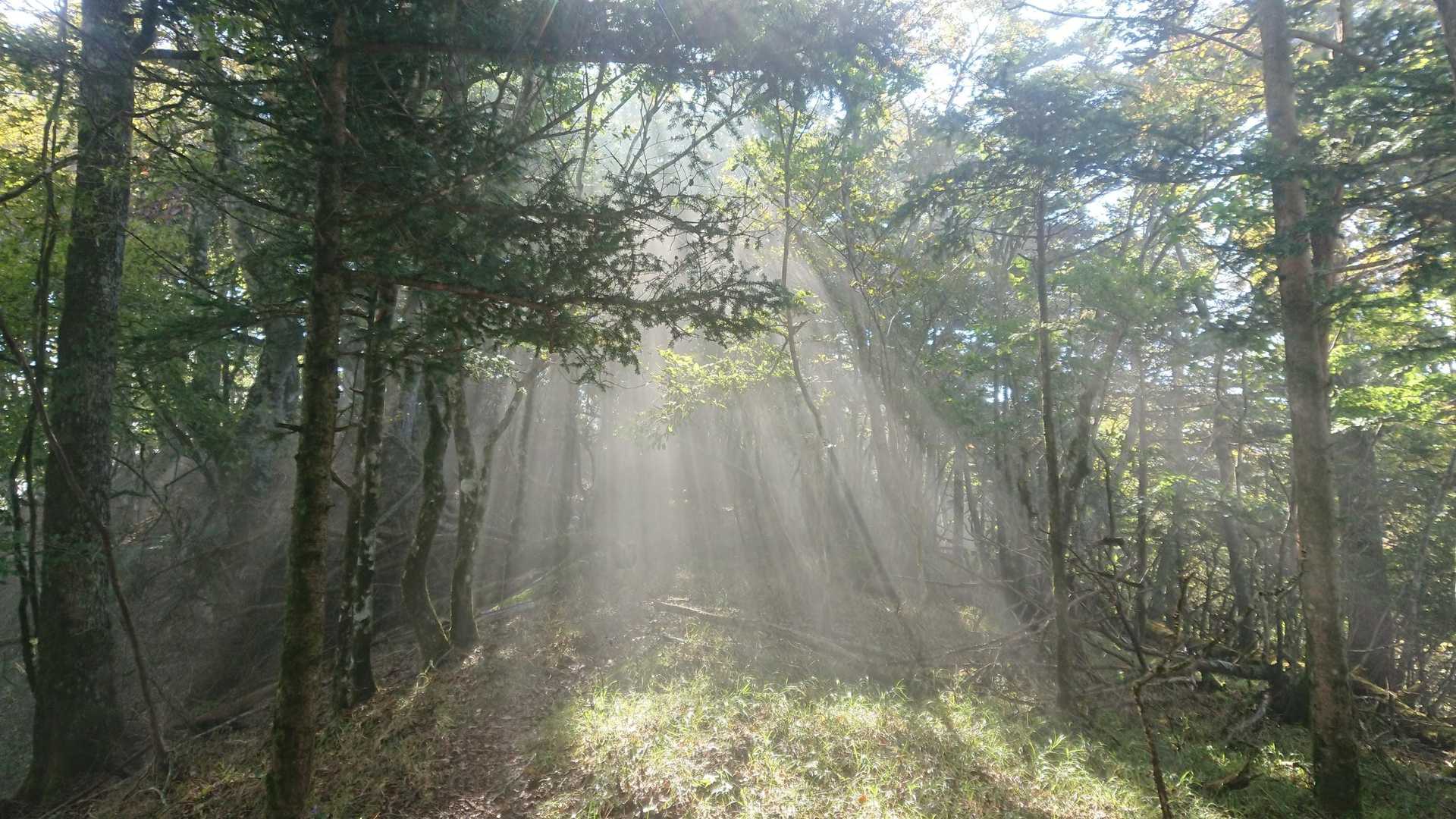 光が差し込んできてキレイ