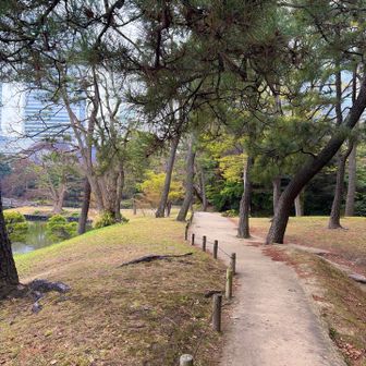 左側にピークがあったようです⛰️
