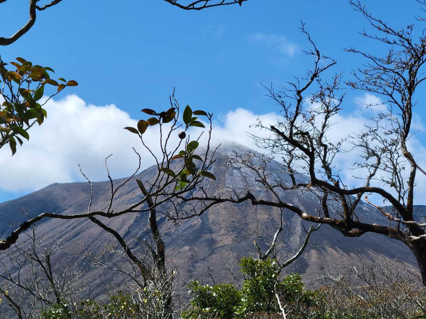 矢岳登山口-矢岳 周回コースの写真
