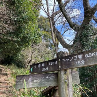 ついでに高根山へ。