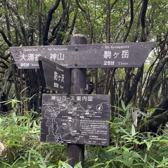 下山はロープウェイ利用のつもりで行ったので、時間的には余裕がありマイペースでの山行。