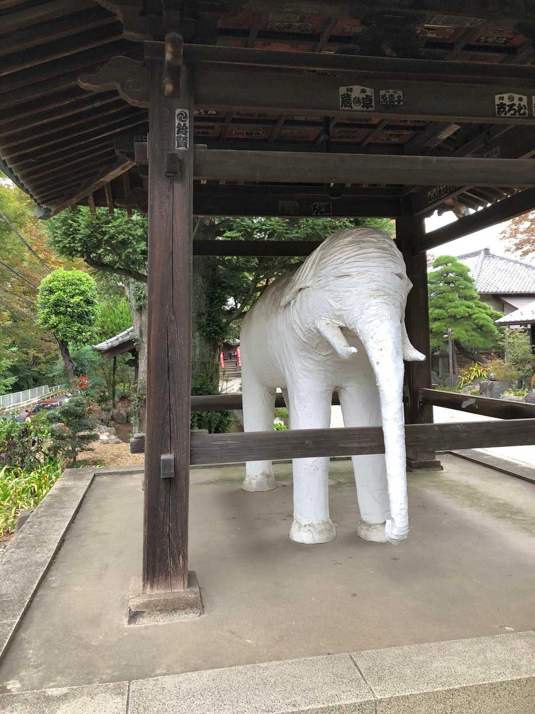 飯能駅-天覧山-天覧山 往復コースの写真