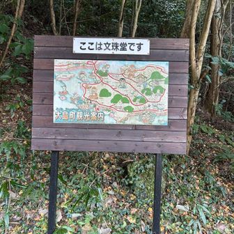 こういう看板すきです🌳