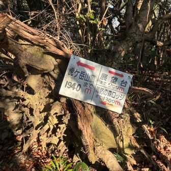 分岐案内板
ここで展望台へ行ってみようと南へ向かう
アップダウンを繰り返し軽く200m以上進むもそれらしき所はなく頭のなか疑問符いっぱいでここへ戻る💦
帰宅後、展望台とは先の鉄塔エリア(岩獄展望台)のことだと知る…😇