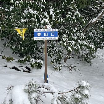 ここからスタート▶️