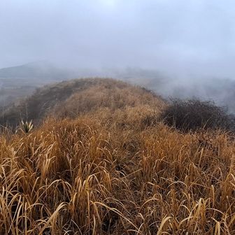 ラクダ山を下る

泥滑り台、
止まらない。止まらない。

3度も尻もち

お尻、ザックは泥んこ
(下山して着替える時に気づく)

一気にテンションが下がる(爆)