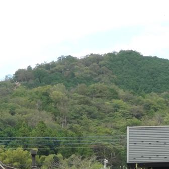 巾着田からの日和田山
