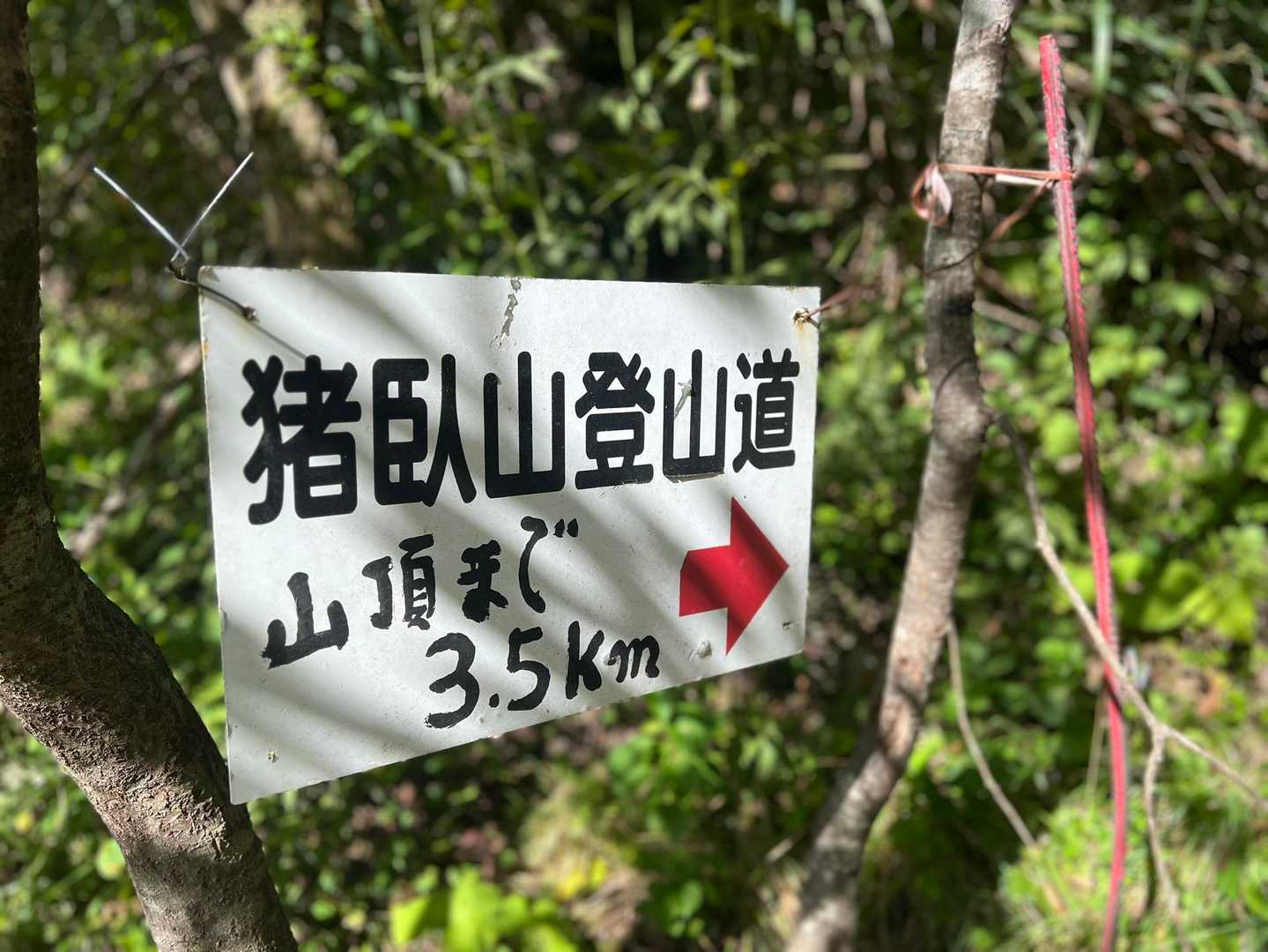 新しい案内板だ！