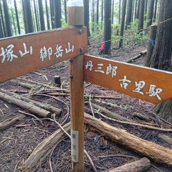 丹三郎山 分岐