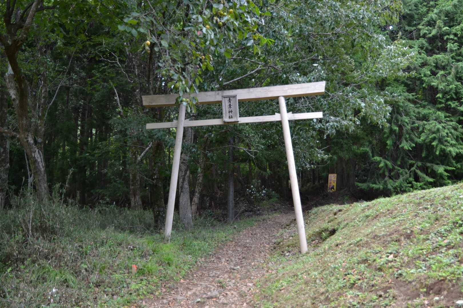鳥居を潜って、いってきます👋