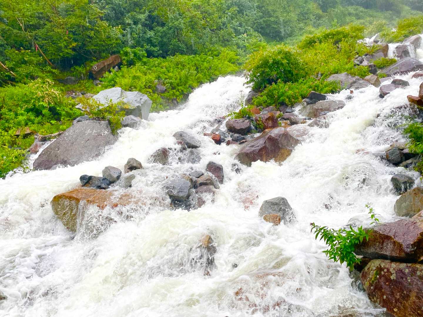 チビ谷でこの水量はえぐい笑