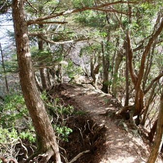 ここにテント張って⛺️寝たい。

通過するなら👨🏻‍🏫のテント内になります♪ みたいな😄。ちなみに寝返りはうてない。即⛺️ごと消える。笑
