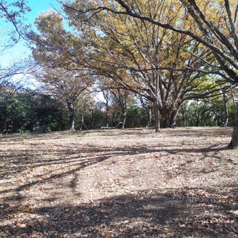 燈籠地山
ここも広いです